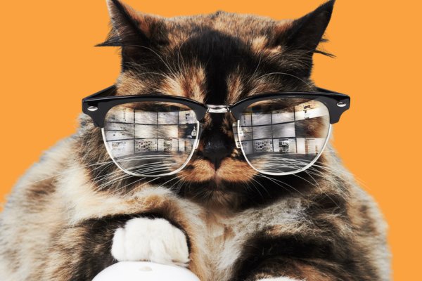 SMART PET GADGETS
