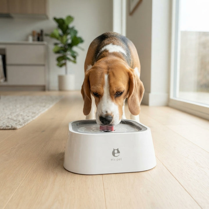 Dog Drinking Water Bowl with Floating Design - Non-Wetting, Non-Skid, Large Capacity