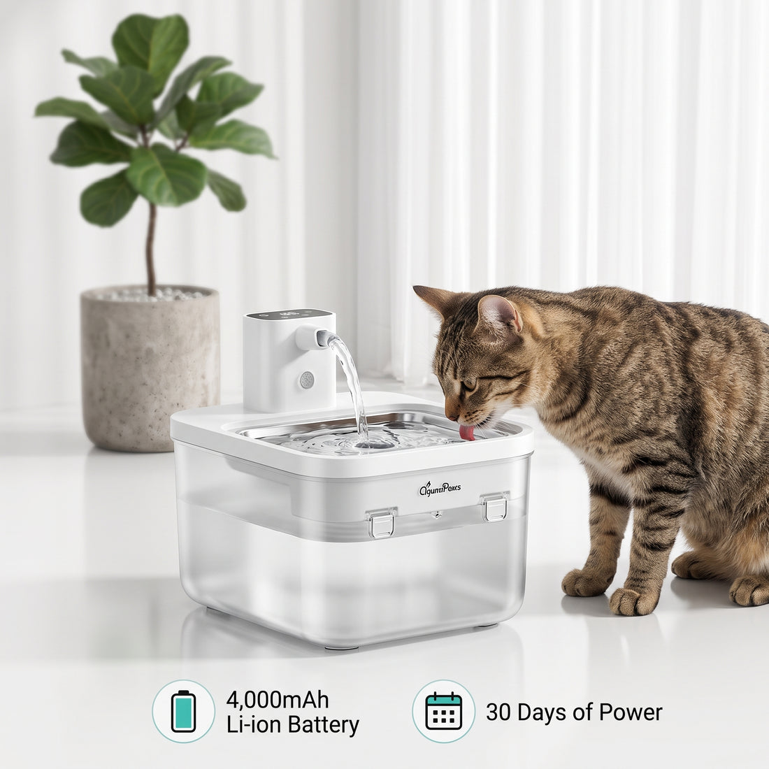 Cordless Stainless Steel Cat Water Fountain, 2.5L – Motion Sensor & Dual Flow Modes